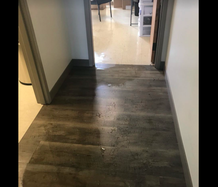 water on wooden floor in hallway of commercial building